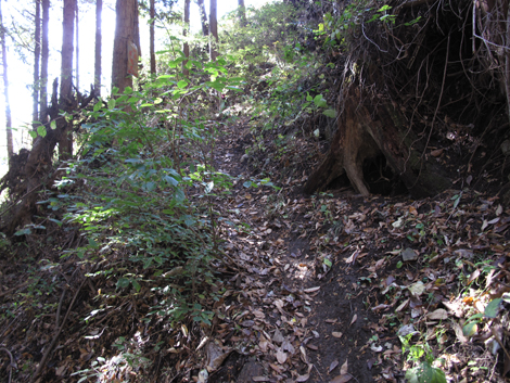20161117hike (42)